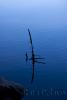 E. Negre